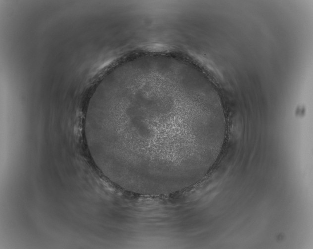 X0000096381301200802071504