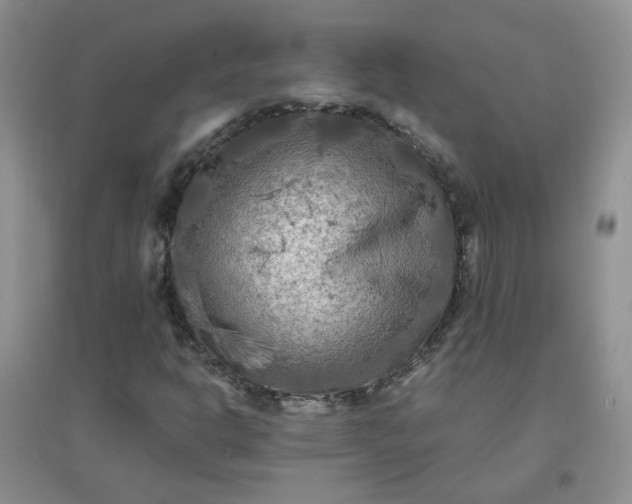 X0000096381302200802071504