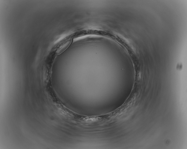 X0000096381303200802071504