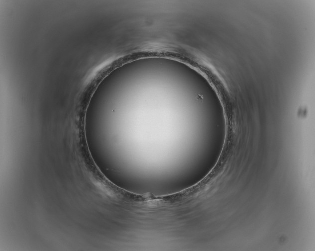 X0000096381304200802071504