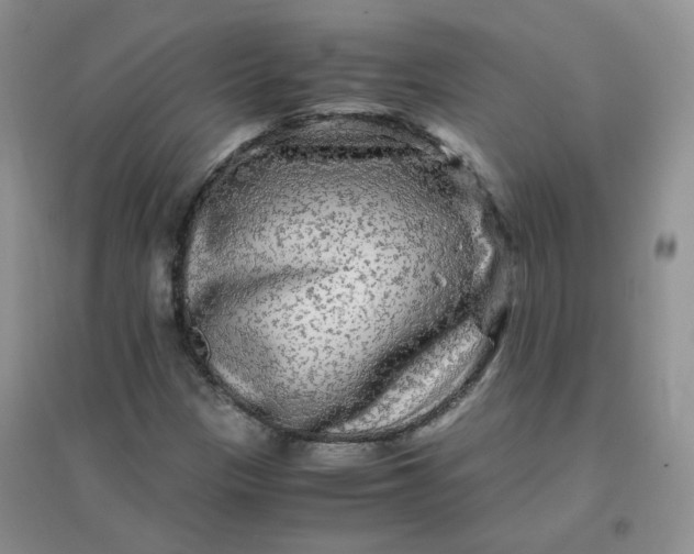 X0000096381305200802071504