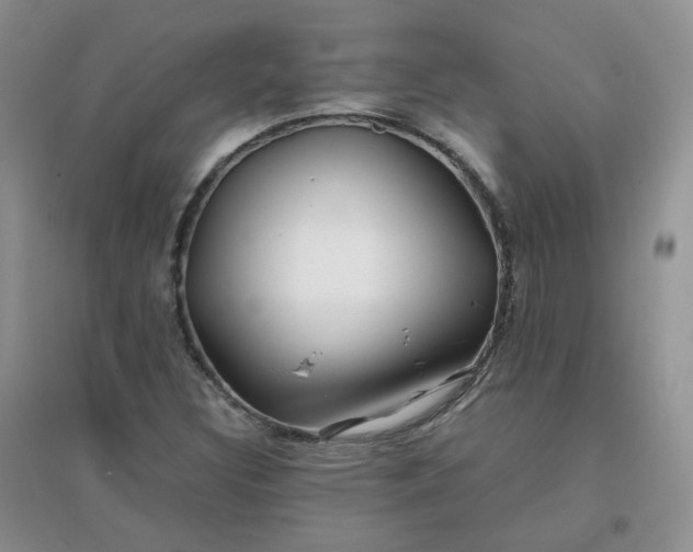 X0000096381308200802071504