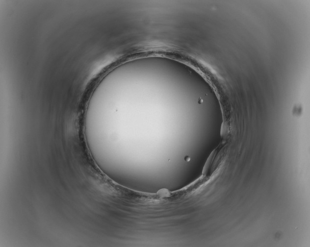 X0000096381309200802071504