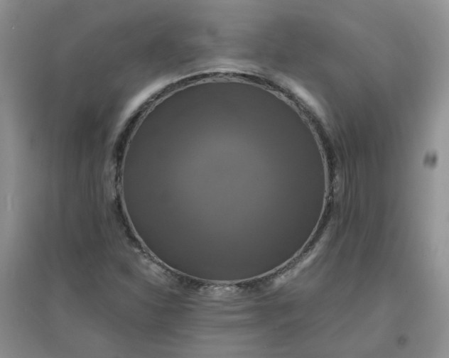 X0000096381310200802071504