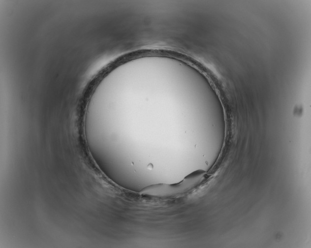 X0000096381311200802071504