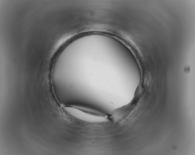 X0000096381312200802071504