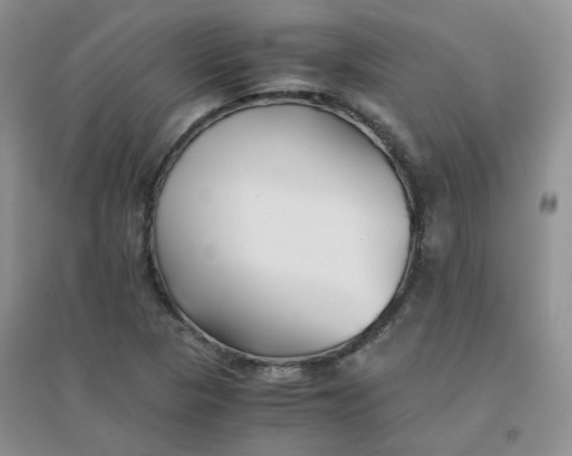 X0000096381313200802071504