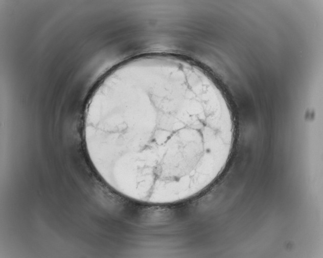 X0000096381314200802071504