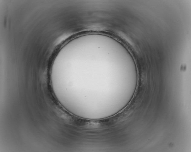 X0000096381315200802071504