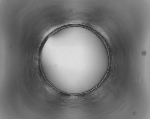 X0000096381316200802071504