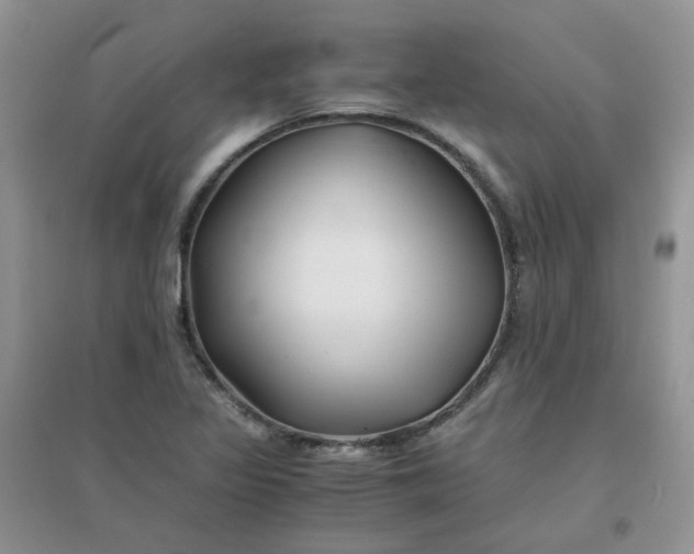 X0000096381317200802071504