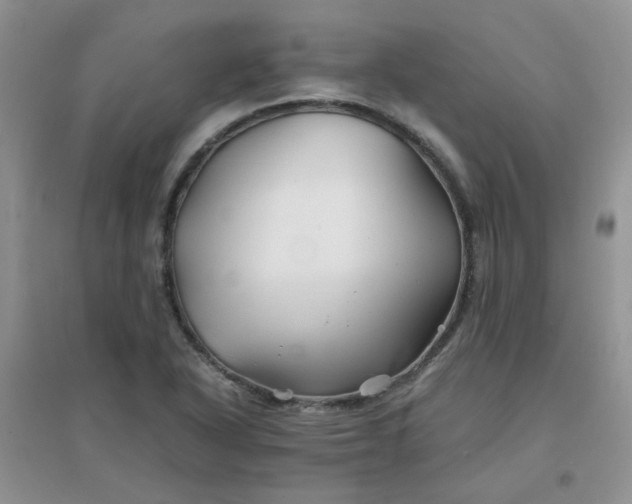 X0000096381318200802071504