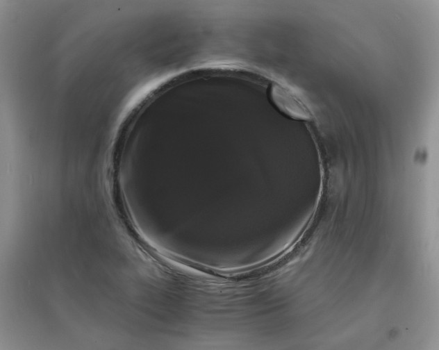 X0000096381319200802071504