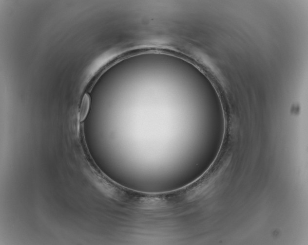 X0000096381320200802071504