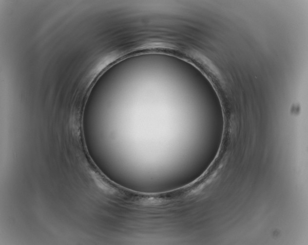 X0000096381321200802071504