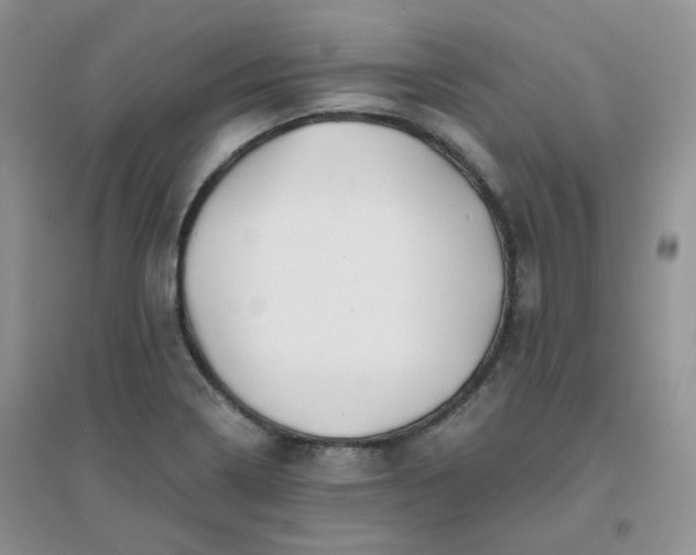 X0000096381322200802071504