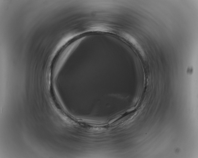 X0000096381323200802071504