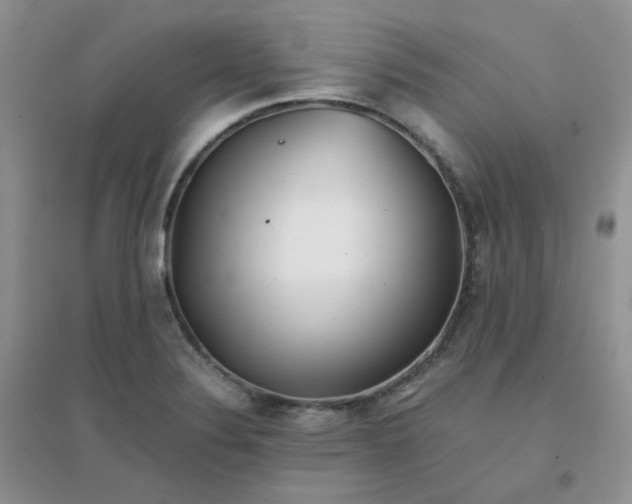 X0000096381324200802071504