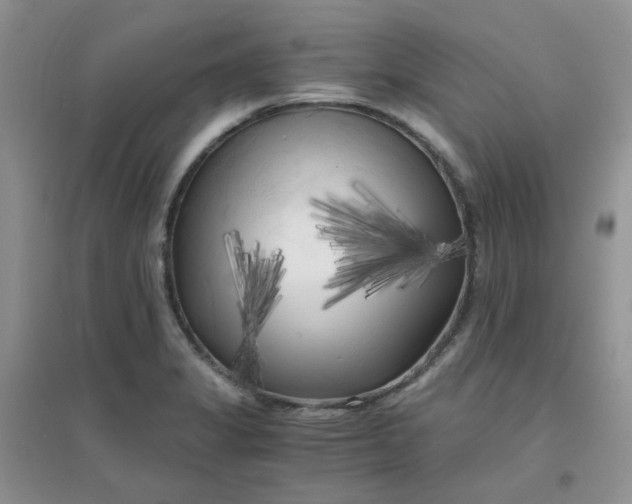 X0000096381325200802071504