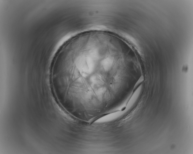 X0000096381326200802071504