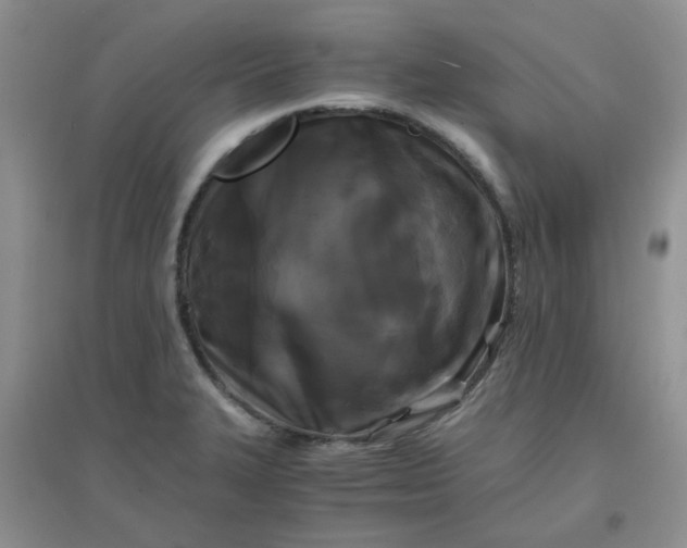 X0000096381327200802071504