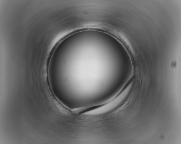 X0000096381328200802071504