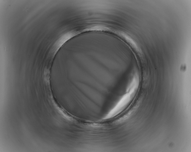 X0000096381329200802071504