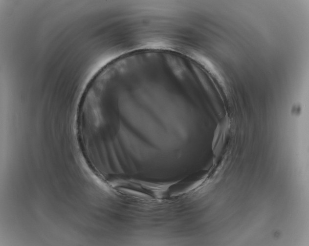 X0000096381331200802071504