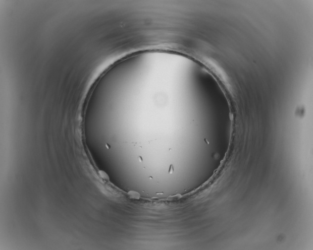 X0000096381332200802071504