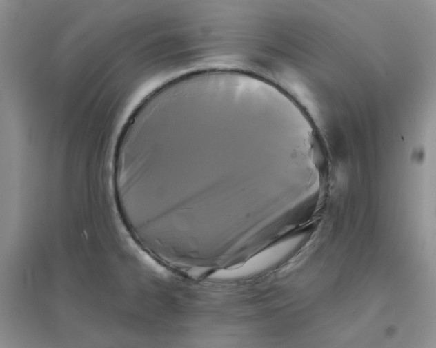 X0000096381334200802071504