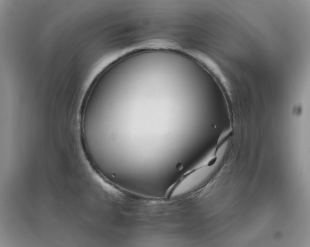 X0000096381335200802071504