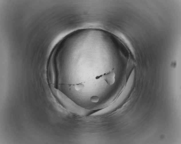 X0000096381336200802071504