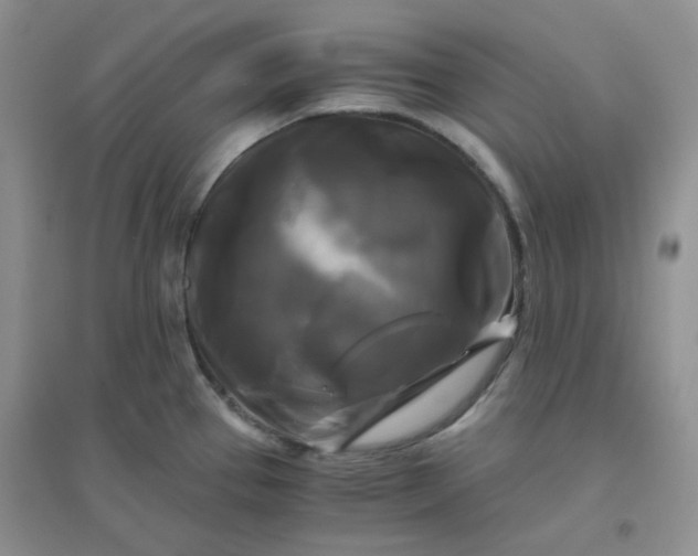 X0000096381337200802071504