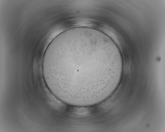 X0000096381338200802071504