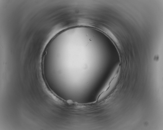 X0000096381339200802071504