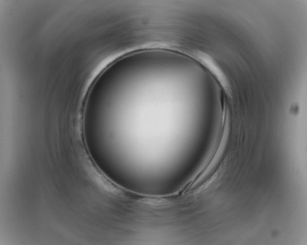 X0000096381340200802071504