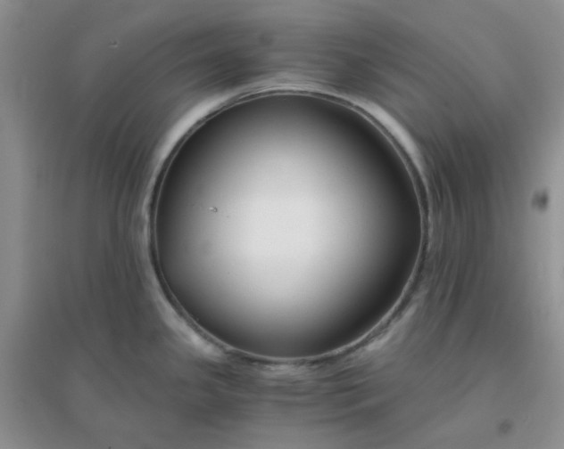 X0000096381341200802071504