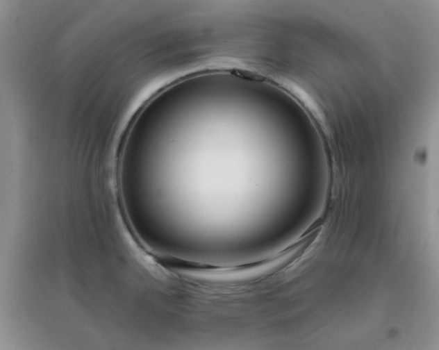 X0000096381342200802071504