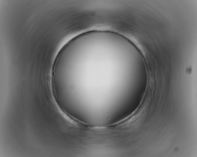 X0000096381343200802071504