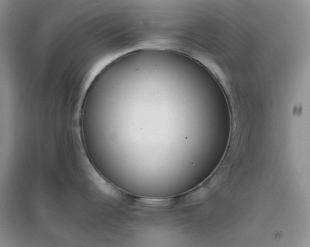 X0000096381344200802071504