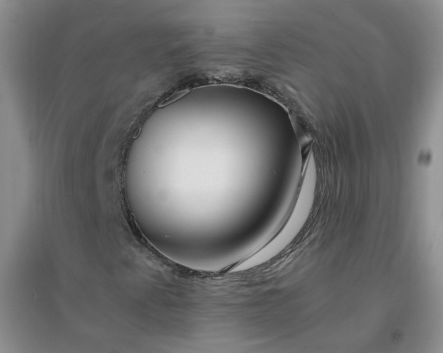 X0000096381345200802071504