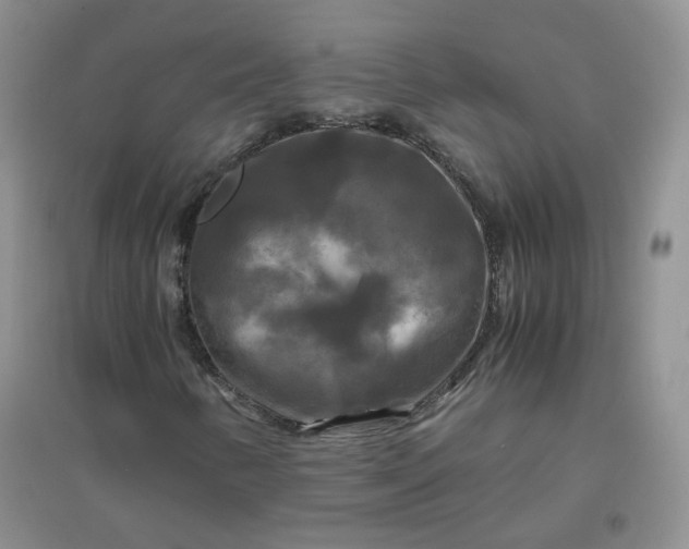 X0000096381346200802071504