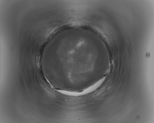 X0000096381348200802071504