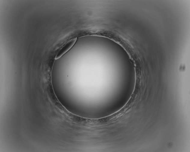 X0000096381349200802071504