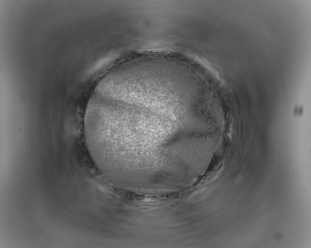 X0000096381350200802071504