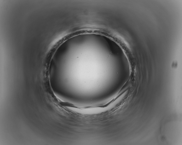 X0000096381352200802071504