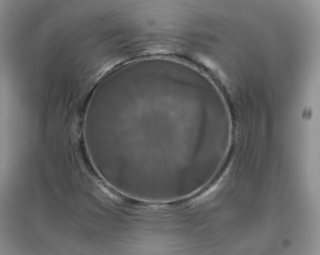 X0000096381353200802071503