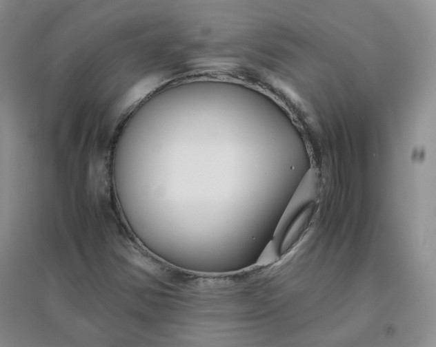 X0000096381354200802071503