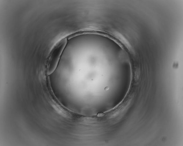 X0000096381356200802071503