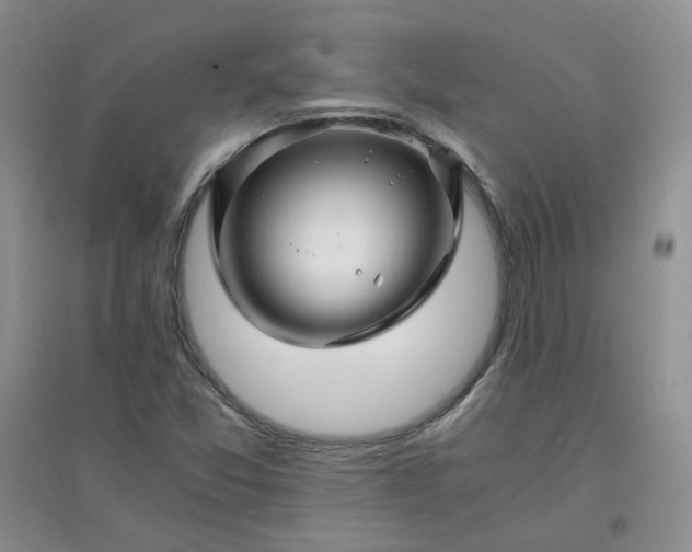 X0000096381357200802071503